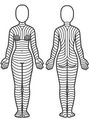 Theoretical pattern of skin main folding lines based on the observations by Lemperle et al.10