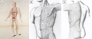 Lymphatics of the human body by William Cruikshank (A) (reprinted from Cruikshank WC: The Anatomy of the Absorbing Vessels of the Human Body. London, G Nicol, 1786), and Sappey