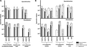 Transcripción diferencial de los genes implicados en la modificación de las cadenas de HS (A) y en la modificación de las cadenas de CS (B) en queratinocitos de la epidermis y fibroblastos de la dermis tras la interacción con levaduras. Se representa la abundancia relativa de los transcritos de genes implicados en la N-desacetilación/N-sulfatación de GlcNAc (NDST1-2), epimerización y 2-O-sulfatación de GlcA (GLCE, HS2ST1), y 6-O-sulftación de la GlcNAc (HS6ST1-3), en ausencia de levaduras (barras negras), en presencia de C.albicans (barras gris oscuro), en presencia de la forma filamentada de C.albicans (barras gris claro) y en presencia de Malassezia spp. (barras blancas). Los resultados se expresan en escala logarítmica, y se indican las desviaciones estándar. Las diferencias significativas están representadas con * para p<0,05, ** para p<0,01 y *** para p<0,001.