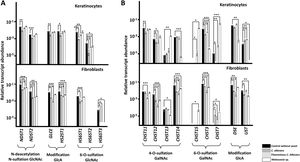 Differential transcription of genes involved in the modification of heparan sulfate (A) and chondroitin sulfate (B) chains in epidermal keratinocytes and dermal fibroblasts after interaction with yeasts. Graphs represent the relative abundance of transcripts of genes involved in the N-deacetylation/N-sulfation of N-acetylglucosamine (GlcNAc; NDST1-2), epimerization and 2-O-sulfation of glucuronic acid (GlcA; GLCE, HS2ST1), and 6-O-sulfation of GlcNAc (HS6ST1-3), in the absence of yeast (black bars), in the presence of C. albicans (dark gray bars), in the presence of the filamentous form of C. albicans (light gray bars), and in the presence of Malassezia species (white bars). Data are expressed on a logarithmic scale, and error bars represent the standard deviation. Significant differences are represented as follows: *P<0.05; **P<0.01; ***P<0.001.