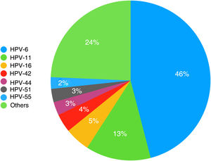 HPV types detected in genital warts. HPV indicates human papillomavirus.