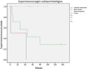 Kaplan Meier. Supervivencia global según subtipo histológico.