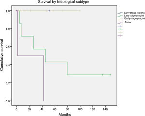 Kaplan–Meier plots: overall survival by histological subtype.