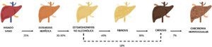 Progresión de la EHmet. Desde la esteatosis hepática (estable, con escaso riesgo de progresión, caracterizada por la acumulación de grasa intracelular en el hepatocito), pasando por la evolución a esteatohepatitis no alcohólica (EHNA) (cuando la infiltración de grasa va acompañada de cambios inflamatorios y daño celular), y el desarrollo de fibrosis hepática (depósito de colágeno en forma de septos fibrosos que provocan una alteración arquitectural y disfunción progresiva del hepatocito). La fibrosis predispone al desarrollo de cirrosis (septos fibróticos y nódulos de regeneración) y carcinoma hepatocelular (CHC) y/o fallo hepático6,8,10,12–14.