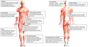 Dermatosis y prurito según la localización.
