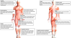 Dermatoses and pruritus according to site.