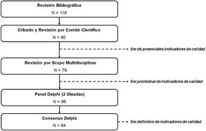 Representación esquemática de las fases del consenso del proyecto CUDERMA y número de indicadores considerados en cada fase.