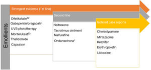 Treatments recommended for pruritus in kidney disease. a Although expert panels continue to recommend ondansetron as second-line therapy, the most recent Cochrane review concludes that it is not an effective drug in the treatment of uremic pruritus.53