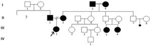 Pedigree of the family.