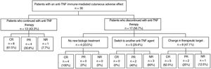 Schematic of the approach taken and clinical response in patients who presented an anti-TNF immune-mediated cutaneous adverse effect. Abbreviations: NR, no response; PR, partial response; CR, complete response.