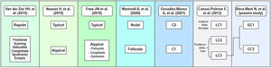 HS classifications proposed by different authors and their relationship with the one proposed in this article.