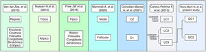 Clasificaciones de la HS propuestas por diferentes autores y su relación con la propuesta en este artículo.