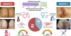 Diagrama que muestra el modelo de conglomerados en dos pasos que da lugar a dos grupos. El grupo 1 (C1), (38,3% de los pacientes con LC3), que incluye más pacientes de sexo femenino, con diagnóstico más tardío, enfermedad más grave y más tractos sinusales; y el grupo 2 (C2), (61,7%), que engloba más hombres con enfermedad menos evolucionada y grave, y más lesiones de nódulos y foliculitis. Además, las intervenciones terapéuticas diferían en función del fenotipo del paciente. La cirugía y los tratamientos biológicos se utilizaron más entre los pacientes C1, mientras que los retinoides y la dapsona fueron más frecuentes en los pacientes C2. H, hombres; M, mujeres.