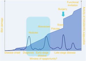 Graphical representation of the “window of opportunity.” Source: Martorell et al.10.