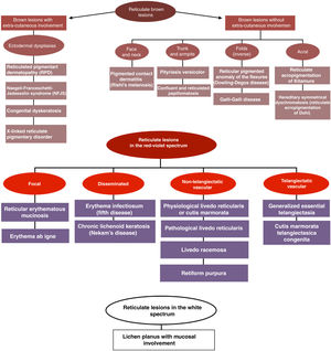 Diagnostic clinical algorithm of reticular disease based on the lesion predominant color.