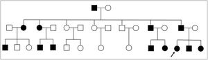 Árbol genealógico.