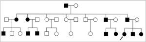 Family tree.