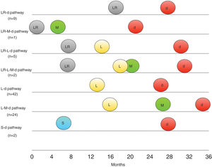 Temporal course of the different progression pathways for patients who finally died from high-risk cSCC. d, death; L, regional lymphatic recurrence; LR, local recurrence; M, systemic metastasis; S, satellitosis.