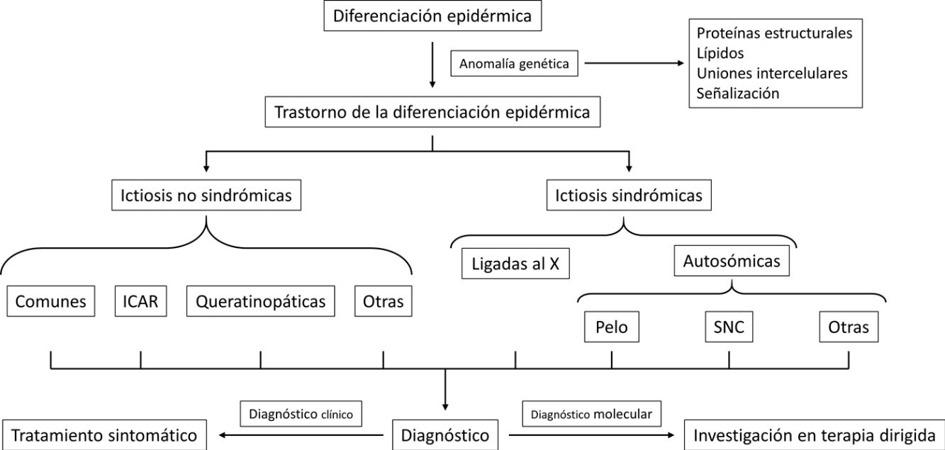 fig0095