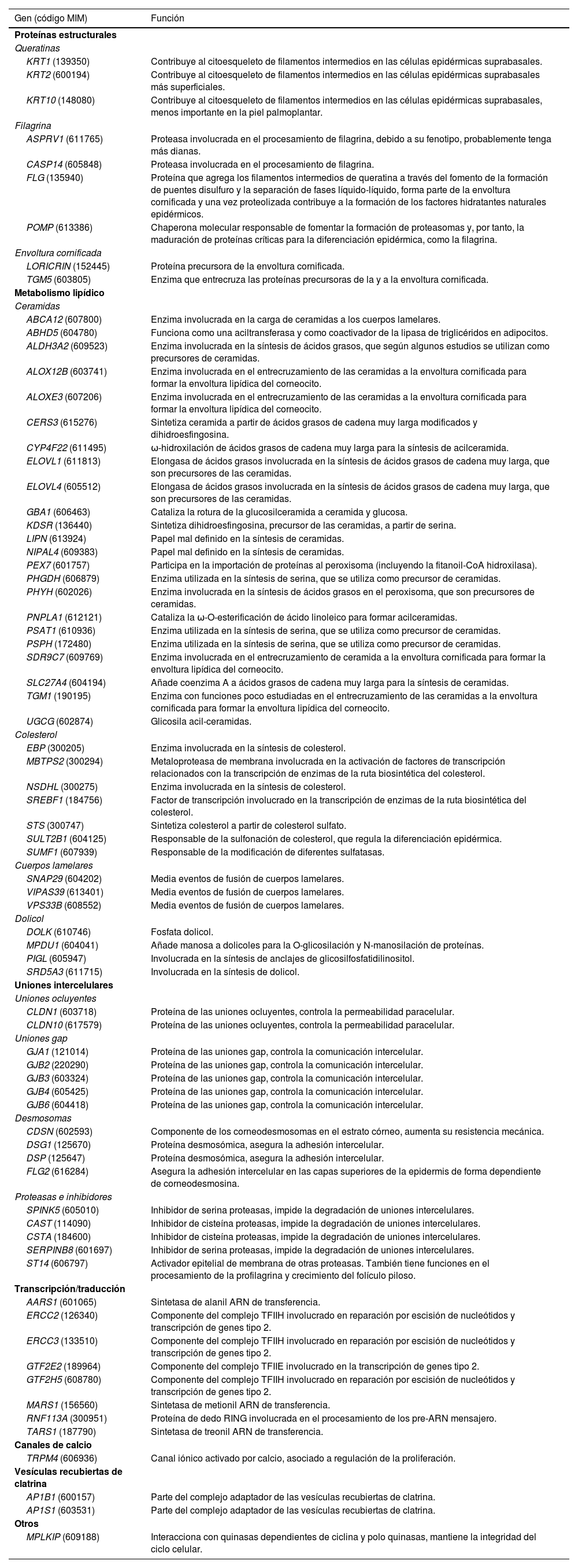 Tables