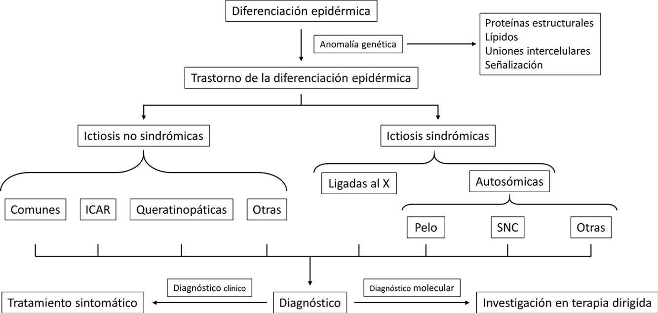 fig0050