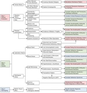 Diagnostic algorithm for congenital ichthyoses.