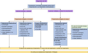 Cuadro resumen de manejo y opciones terapéuticas en el paciente con QA. ALA: ácido 5-aminolevulínico; 5-FU: 5-fluorouracilo; MAL: aminolevulinato de metilo; QA: queratosis actínica.