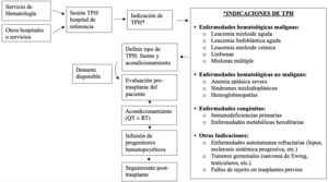Indicaciones y proceso de TPH. QT: quimioterapia; RT: radioterapia; TPH: trasplante de progenitores hematopoyéticos.