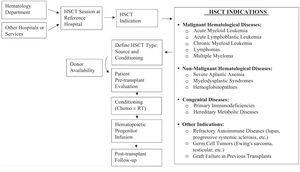 Indications and process of HSCT. Chemo: chemotherapy; RT: radiotherapy; HSCT: hematopoietic stem cell transplantation.
