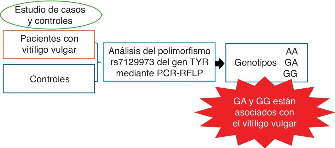 fig0005