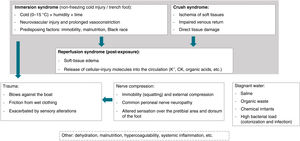 Proposed pathophysiology of patera-associated skin and soft-tissue syndrome. Non-freezing cold injury (immersion/trench foot) from prolonged exposure to 0–15°C and humidity causes neurovascular damage and sustained vasoconstriction; fatigue, malnutrition, dehydration, immobility, and Afro-Caribbean ancestry are predisposing factors. Crush injury leads to soft-tissue ischemia, direct tissue damage, and impaired venous return. Subsequent reperfusion of previously hypoperfused areas triggers soft-tissue edema and systemic release of damage-associated molecules, worsening the condition. Trauma from wave motion and friction with clothing/boat causes cutaneous injury, exacerbated by cold-related sensory alteration and peripheral neuropathies. Compression of the common peroneal nerve – typically from prolonged squatting or external compression – is another factor, partially explaining pretibial and dorsal-foot lesions. Boat bilge water contains stagnant salt water, organic waste, chemical irritants, and high bacterial loads, favoring colonization/infection. Other contributors include malnutrition/dehydration, systemic inflammation, and hypercoagulability.