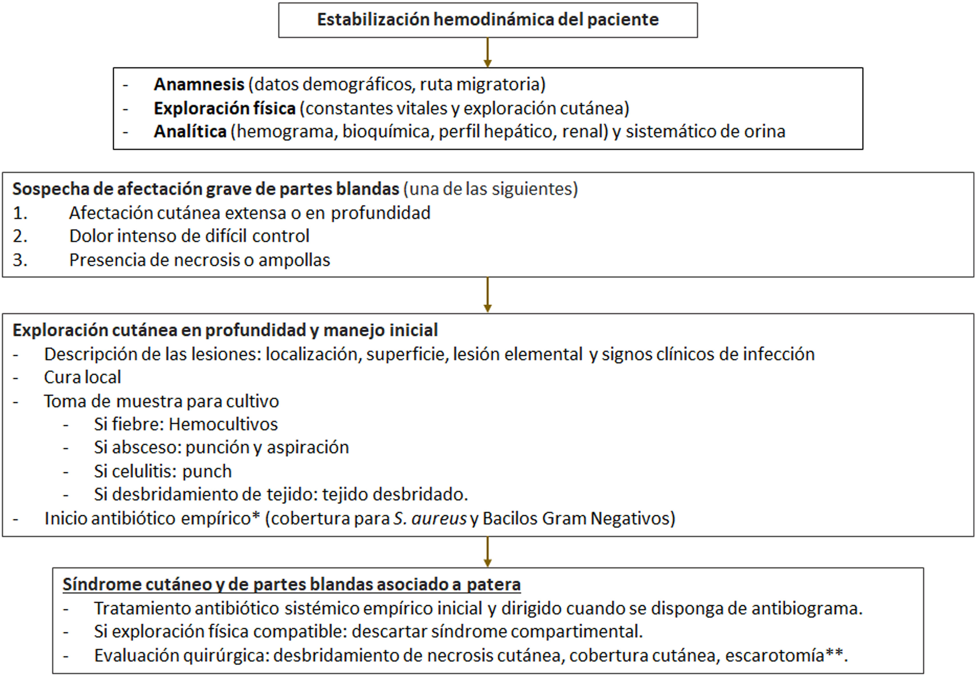 fig0025