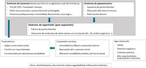 Propuesta fisiopatológica del síndrome cutáneo y de partes blandas asociado al viaje en patera. La lesión por frío sin congelación (síndrome de inmersión o pie de trinchera), en el que la exposición prolongada a temperaturas entre 0-15°C y humedad ocasionarían un daño neurovascular, así como una vasoconstricción sostenida; el cansancio, la desnutrición, la deshidratación, la inmovilidad y la ascendencia afro-caribeña son factores predisponentes para este cuadro. El síndrome de aplastamiento, produciría isquemia de partes blandas, daño tisular directo y alteraciones en el retorno venoso. Posteriormente, se produciría la reperfusión de las áreas previamente hipoperfundidas, desencadenando un edema de partes blandas y liberación a la circulación sistémica de moléculas de daño celular, agravando el cuadro. Los traumatismos causados por el oleaje y la fricción con la ropa y la embarcación producirían lesiones en la piel, pudiendo ser exacerbadas por la alteración sensorial asociada al frío y neuropatías periféricas. La compresión del nervio peroneo común, típicamente asociada con posiciones prolongadas de cuclillas o compresiones externas, sería otro factor relevante. Esta compresión explicaría, en parte, las lesiones observadas en la región pretibial y en el dorso del pie. El fondo de la embarcación contiene agua salada estancada, desechos orgánicos, irritantes químicos y una alta carga bacteriana favoreciendo la colonización e infección. Otros factores implicados en el cuadro serían la desnutrición y deshidratación, la inflamación sistémica o la hipercoagulabilidad.