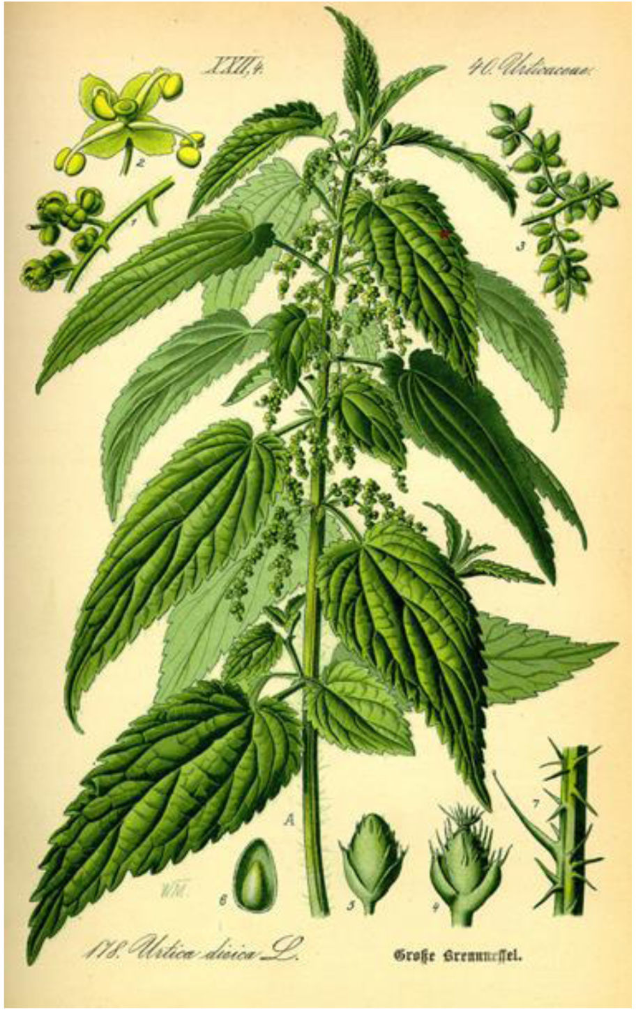 fig0010