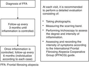 Follow-up schedule for patients diagnosed with FFA.