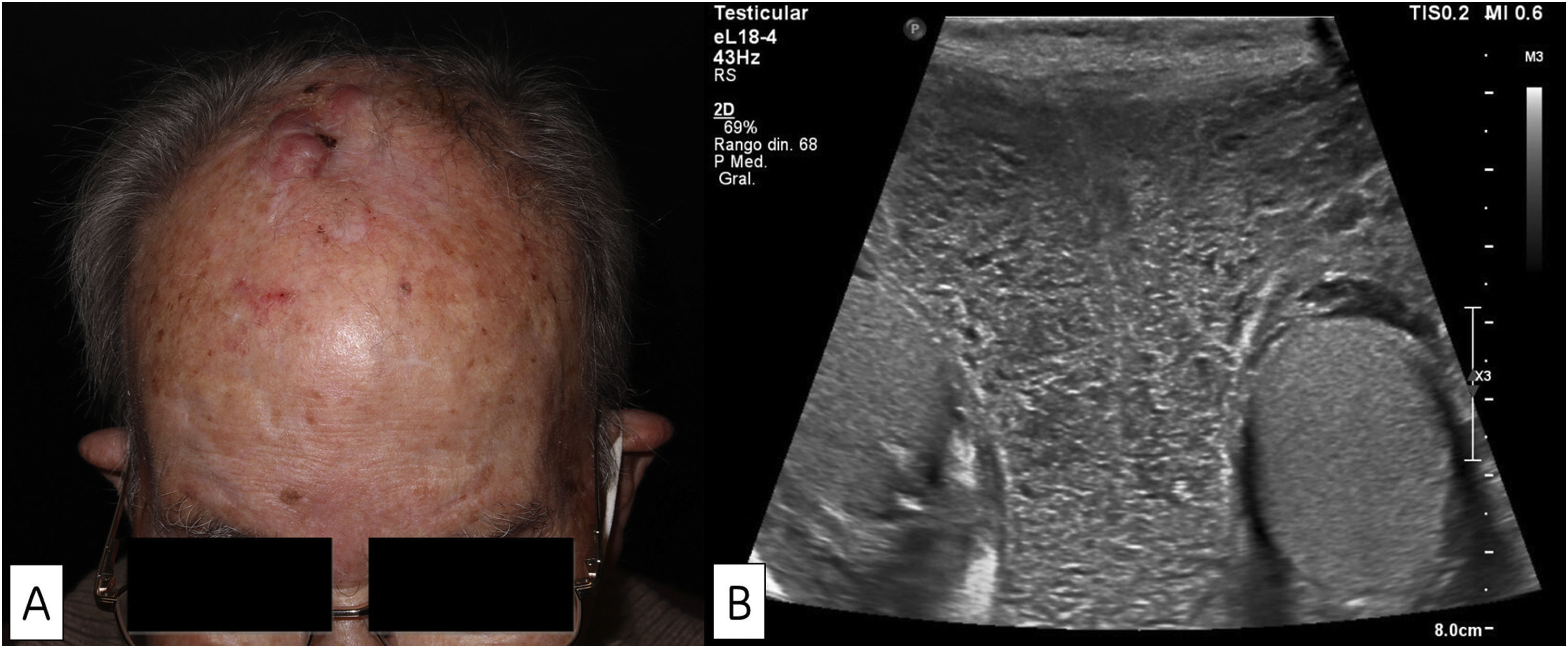 fig0005