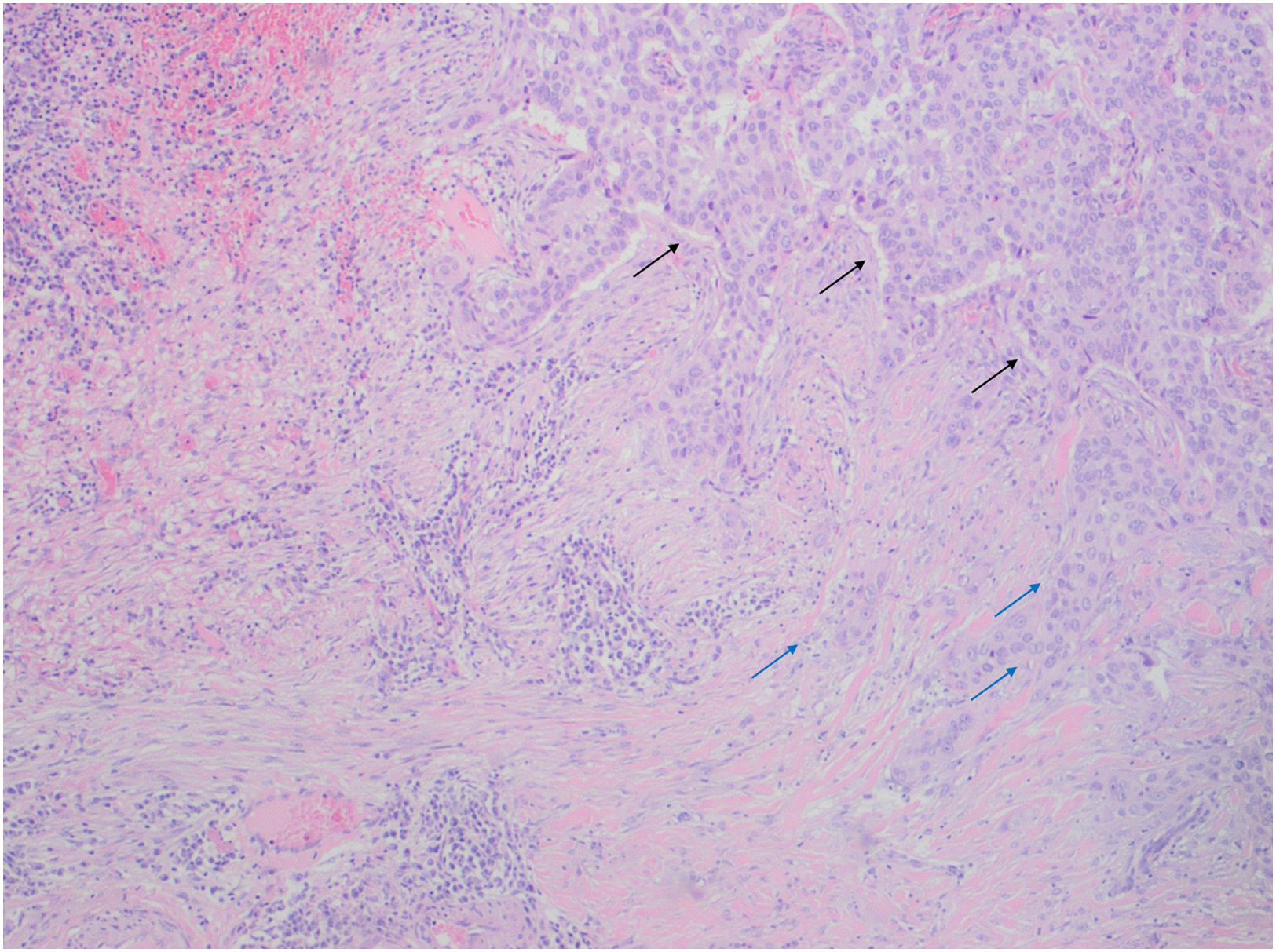 fig0010