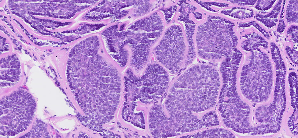 fig0015