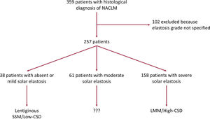 Consort diagram describing inclusions and exclusion criteria of the study. NACLM, non-acral cutaneous lentiginous melanoma; LMM, lentigo maligna melanoma; SSM, superficial spreading melanoma; CSD, cumulative sun damage.