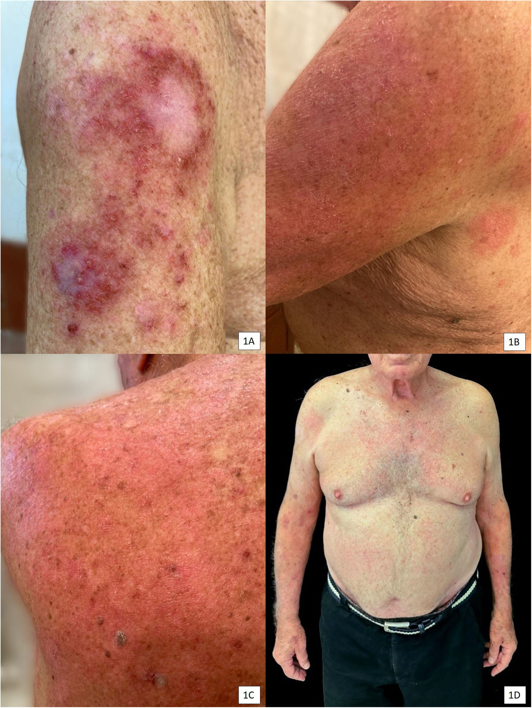 fig0005