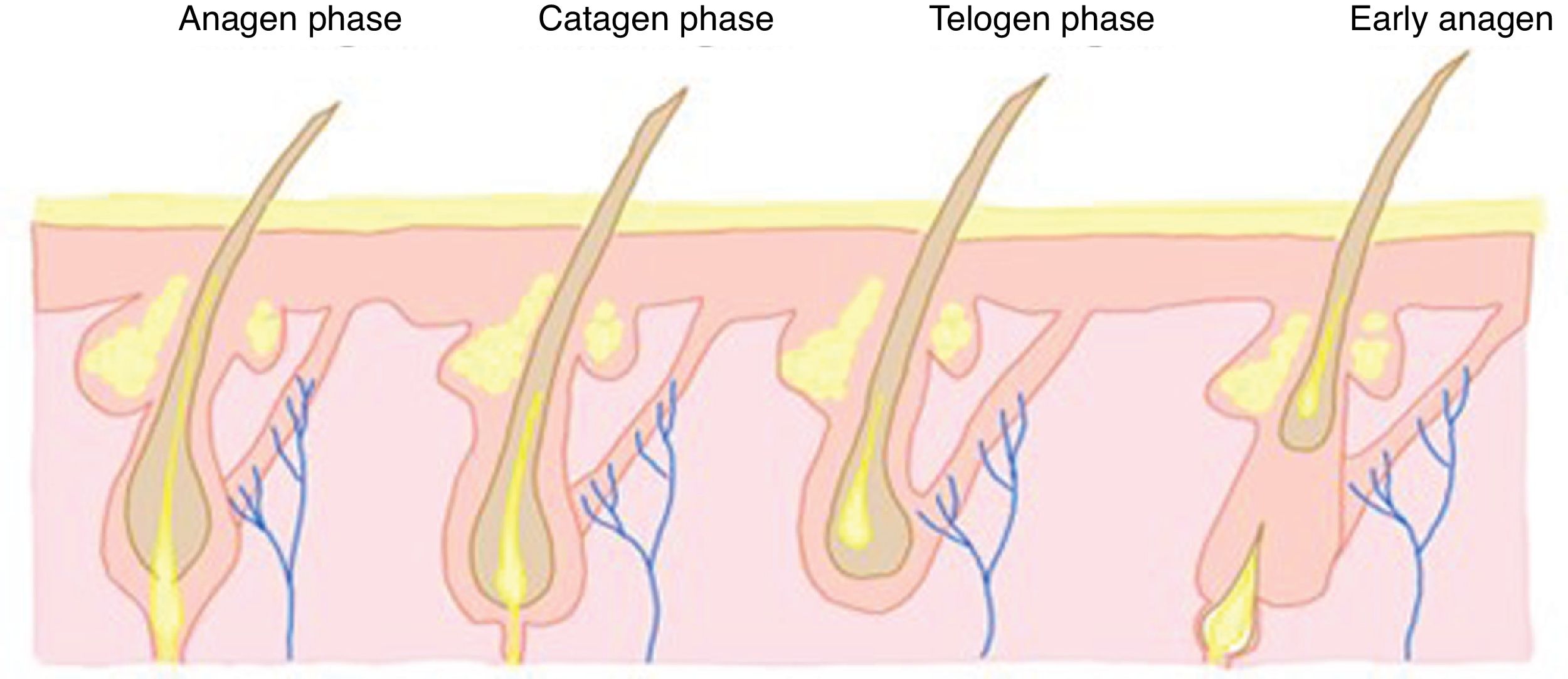 grey hair glutathione Hair Graying Update and Review