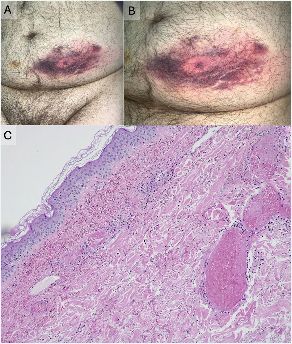 fig0005