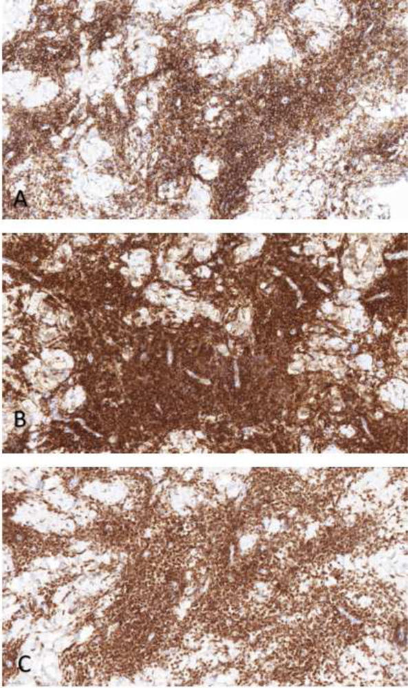 fig0015