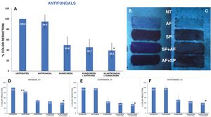 Distribution of mean percentage color-level values for different treatment areas relative to untreated skin. (A) Mean color-change values grouping all antifungals used. (B and C) Examples of color distribution in two volunteers treated with antifungal and SPF 50+ sunscreen. (D–F) Mean percentage color-level values for all volunteers treated with ketoconazole 1%, clotrimazole 1%, and bifonazole 1%. *Significant differences (p<0.05) between sunscreen alone and antifungal applied before sunscreen. **Significant differences between bifonazole alone and untreated skin.