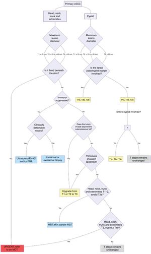 Staging and treatment pathway for cutaneous squamous cell carcinoma, adapted from Keohane et al.9 Staging and treatment pathway for primary cutaneous squamous cell carcinoma (cSCC). FNA: fine-needle aspiration biopsy; FNAC: fine-needle aspiration cytology; LSC-MDT: local skin cancer multidisciplinary team; SSCC-MDT: specialized skin cancer multidisciplinary team.