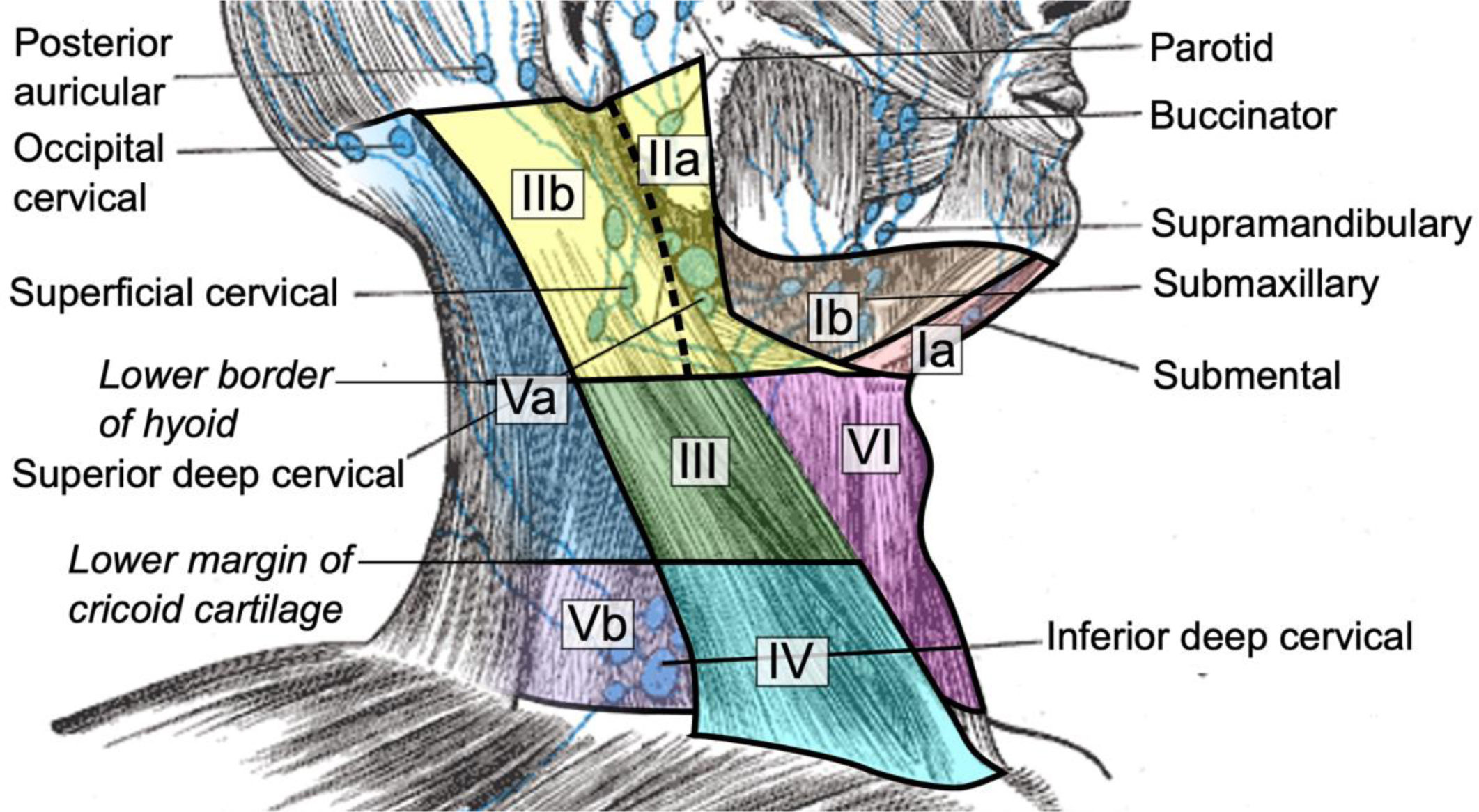 fig0010