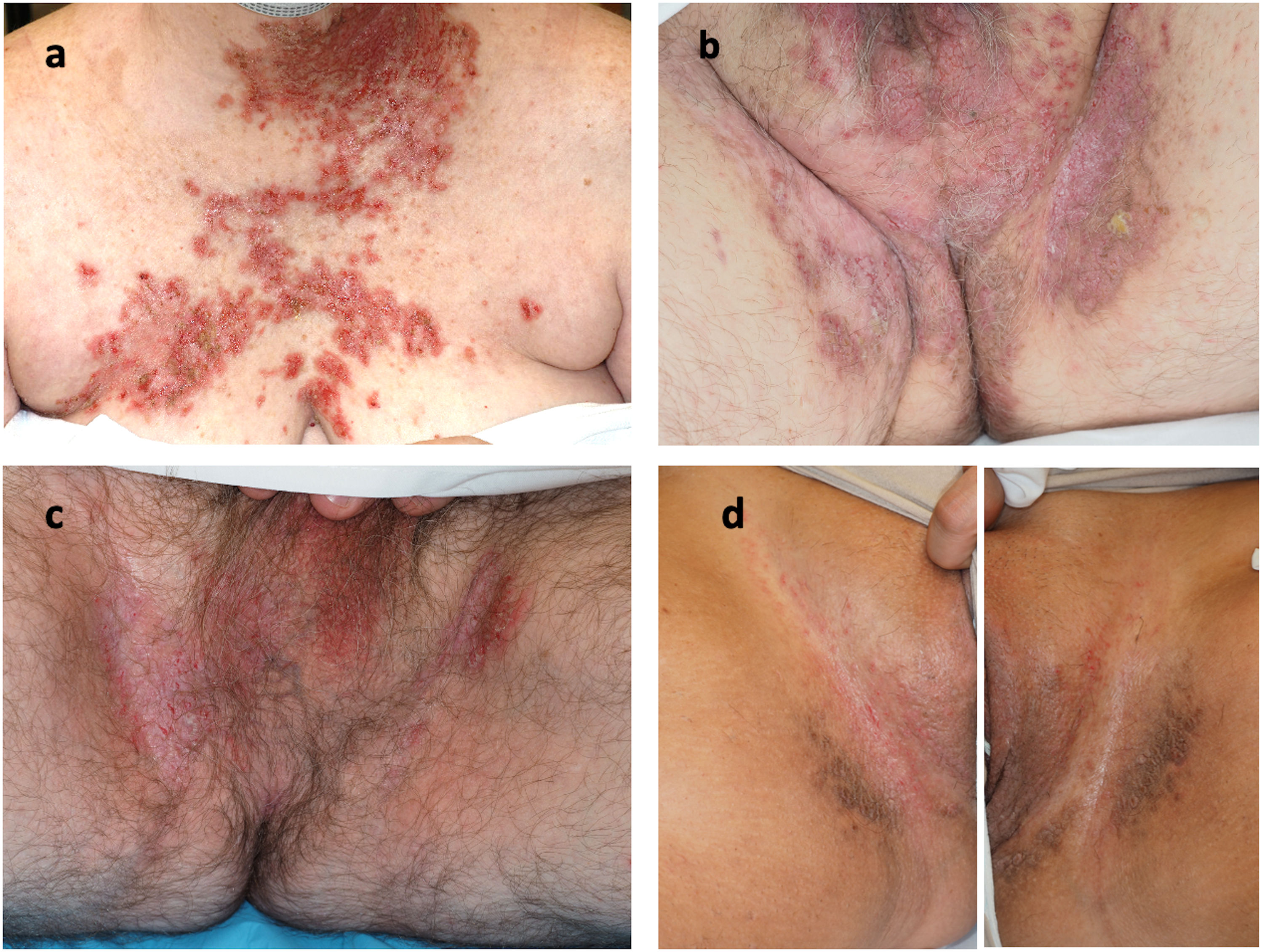 fig0005