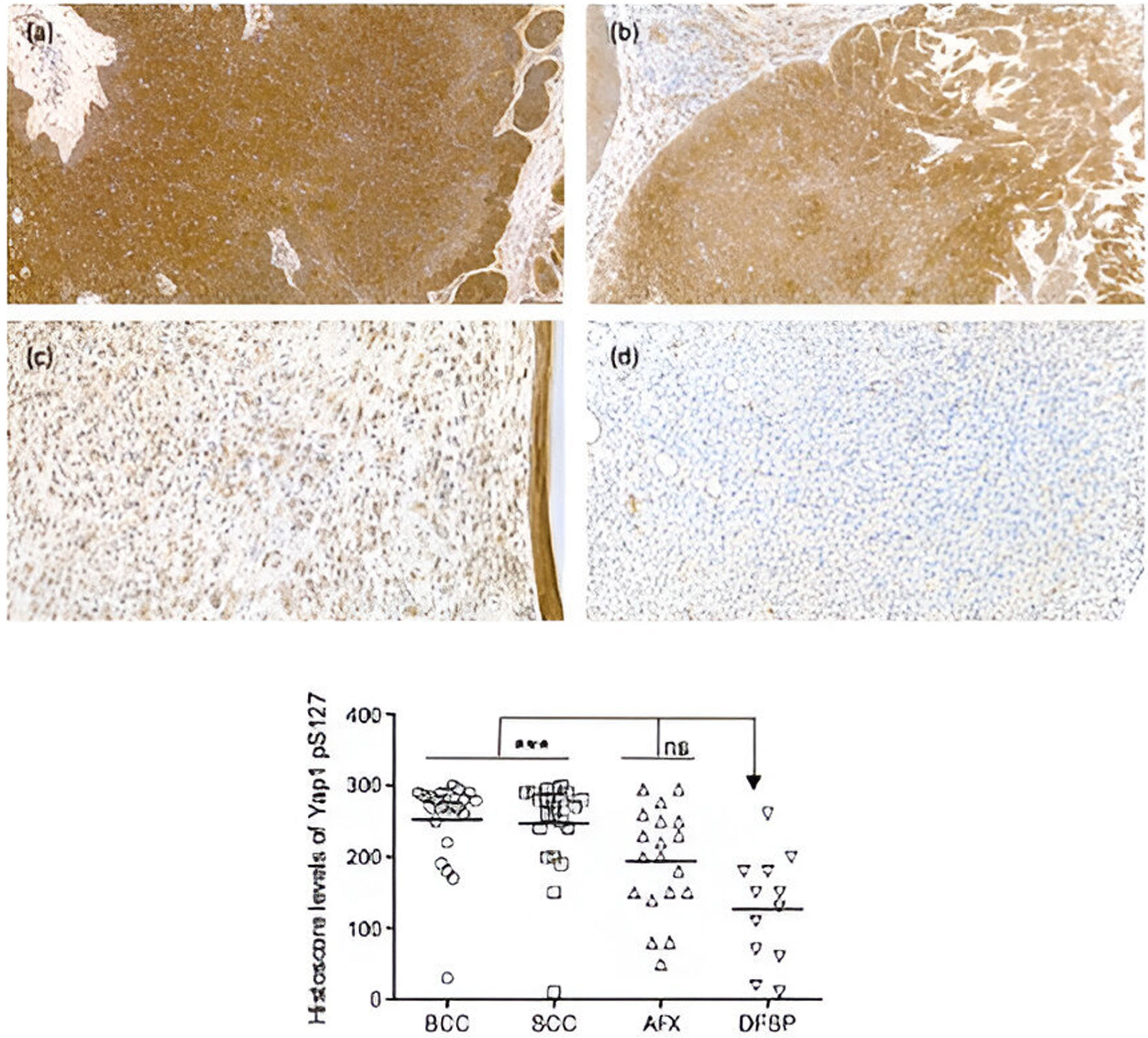 fig0010
