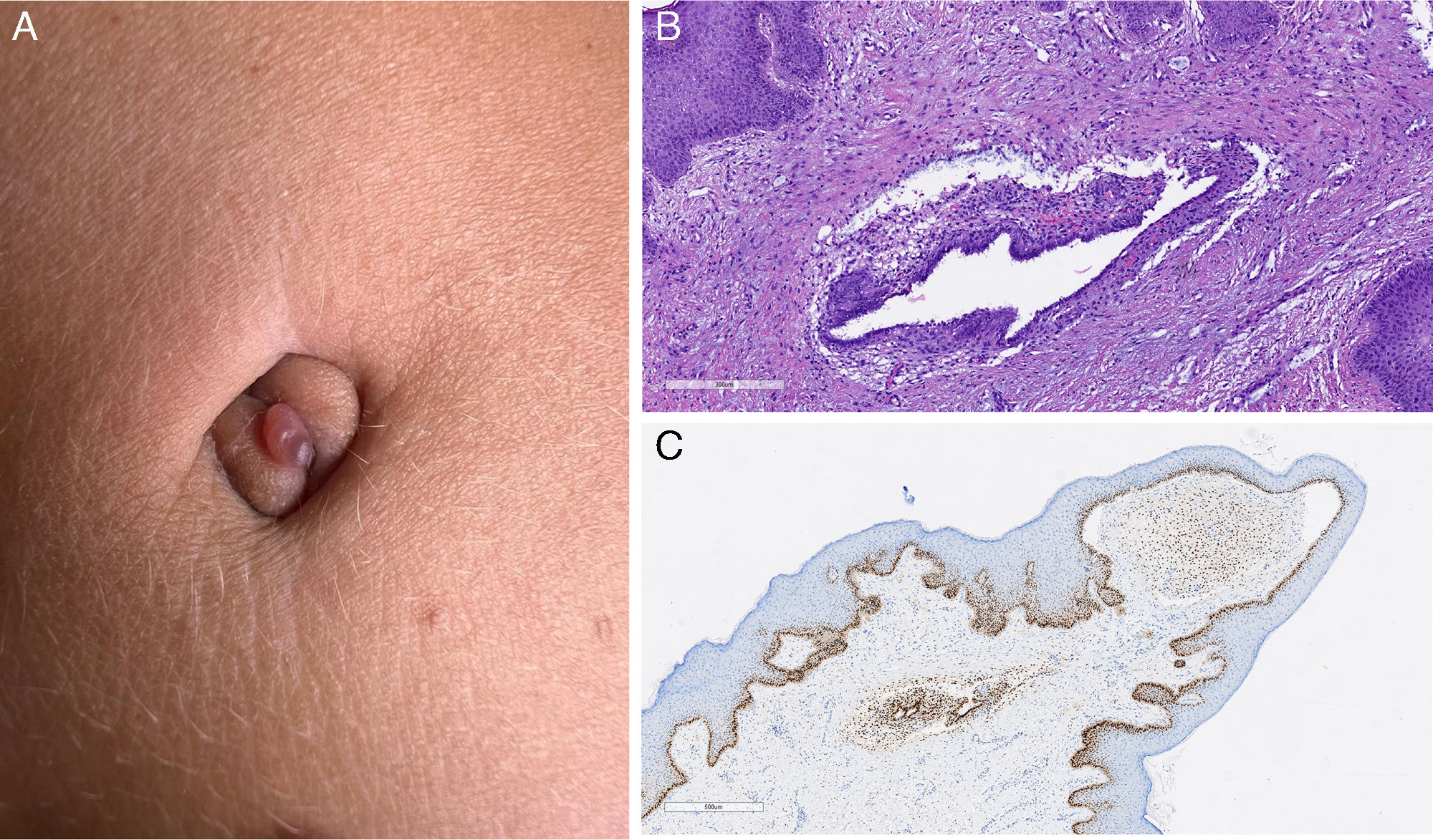 fig0005