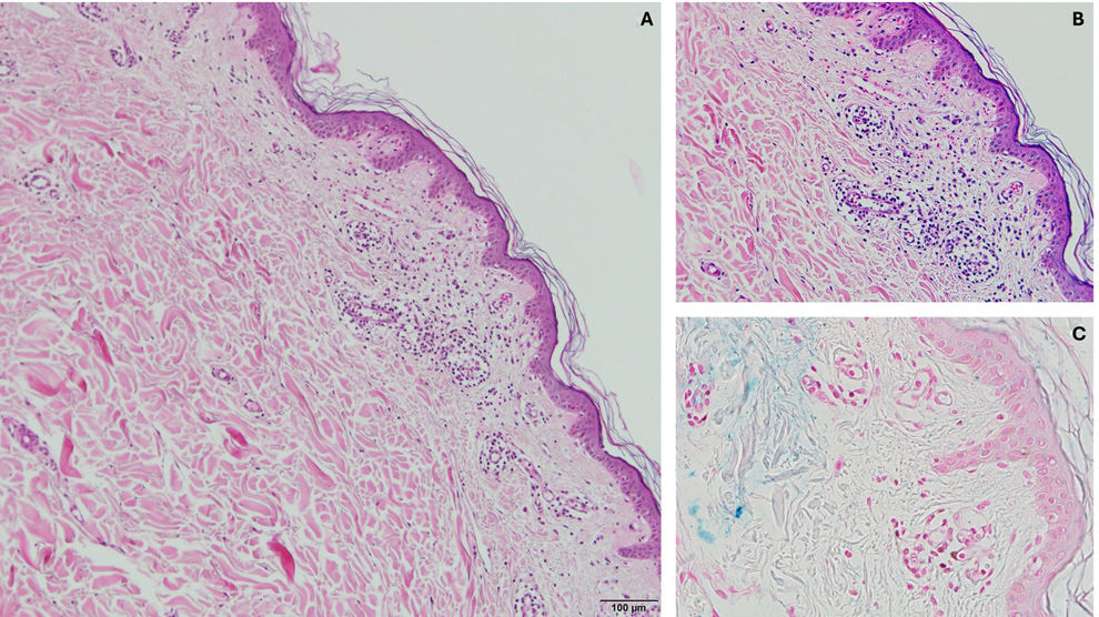 fig0015
